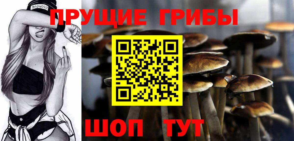 Галлюциногенные грибы Cubensis Гагарин