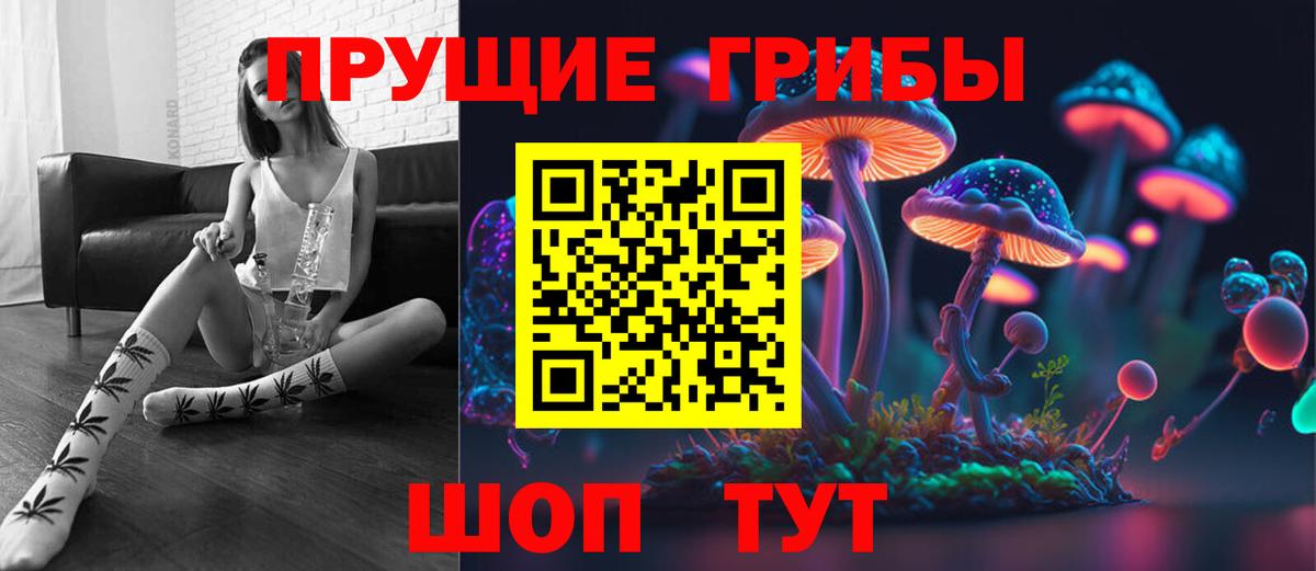 Галлюциногенные грибы Psilocybe  Вход с VPN  Гагарин 
